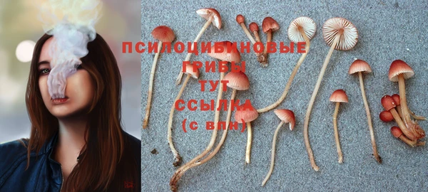 гидропоника Абдулино