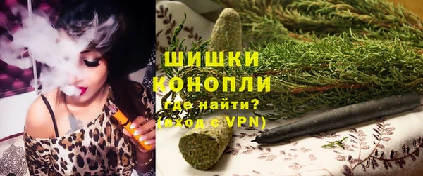 твердый Протвино